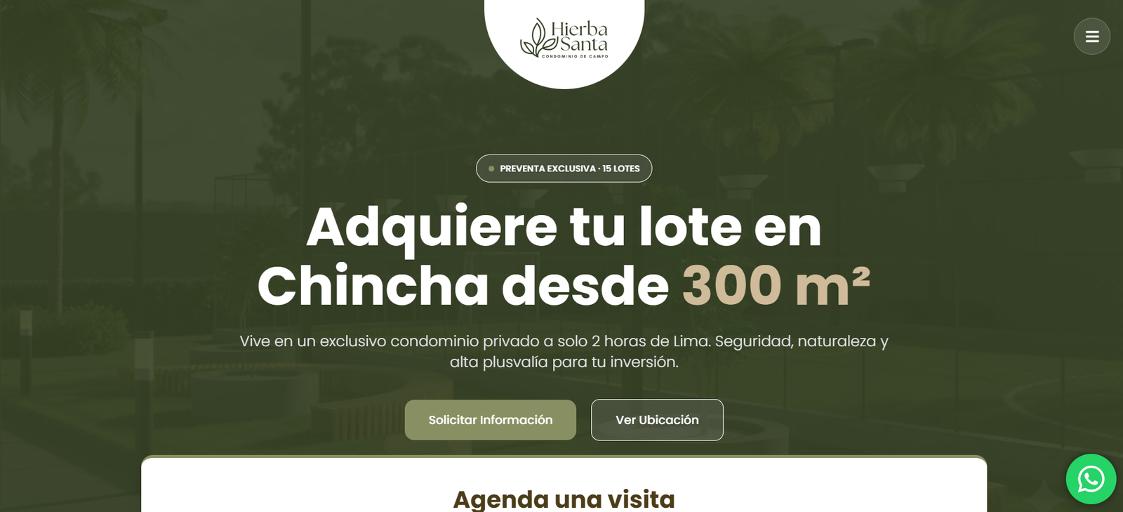 Hierba Santa Lotes en Chincha